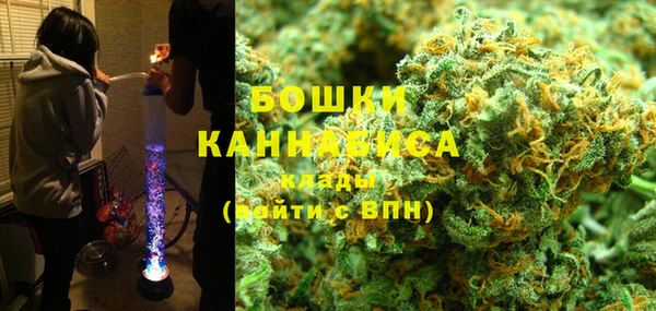 ГАЛЛЮЦИНОГЕННЫЕ ГРИБЫ Нягань